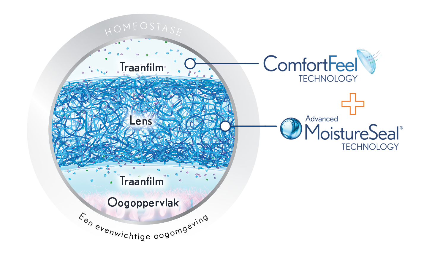 Het complete systeem – homeostase